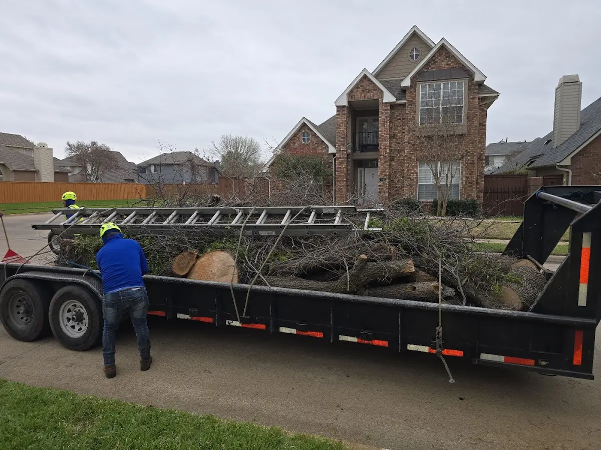 Expert Tree Removal with proper safety equipment in Elgin
